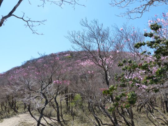 画像32